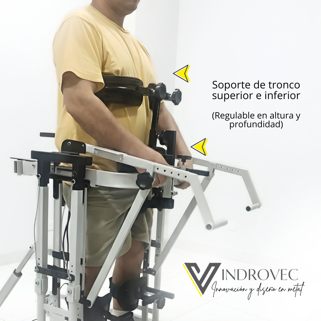 BIPEDESTADOR DINÁMICO MODELO FLEX - MIEMBROS SUPERIORES